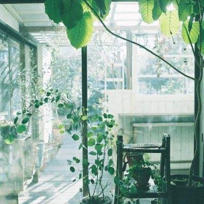 皇冠app下载官网下载