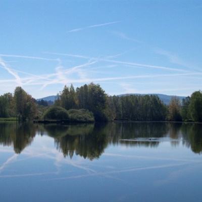 pg娱乐电子游戏官网app下载